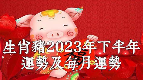 2022屬豬每月運勢|屬豬的人2022年的運勢運程每月12個月完整版